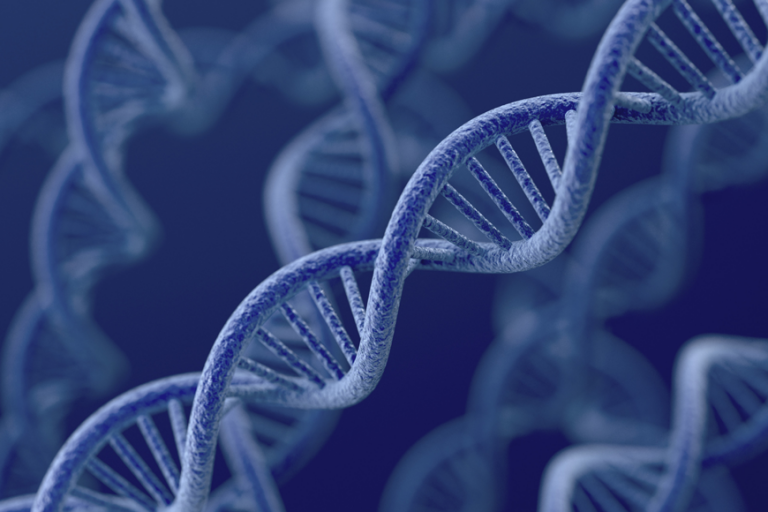 Genetichni_izsledvaniq